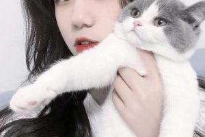 如何找到外教一对一口语教学缩略图